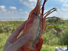 -七的湖·晚芳亭·阳澄湖农家菜·大闸蟹(莲花岛店)