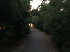 -唐城墙遗址公园