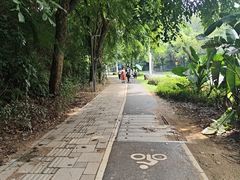 -东莞植物园