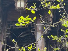 -胡雪岩故居