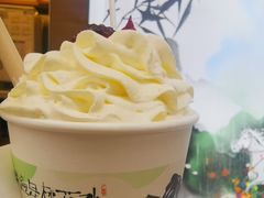 -茶颜悦色(花园道店)