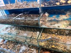 -仙螺岛海鲜自助餐厅(总店)