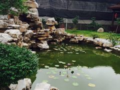 -呼吸森林·生态农庄农家乐私房菜