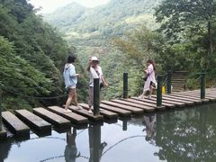 -溪口-滕头旅游景区