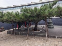 -长安寺
