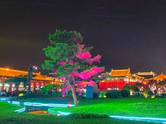 -大雁塔北广场音乐喷泉
