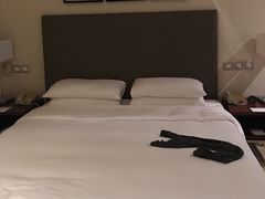 -香港尖沙咀凯悦酒店