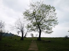 -硗碛藏寨·神木垒景区