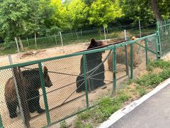 -秦皇岛野生动物园