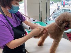 -北京观赏动物医院·24小时大型综合·猫专科·异宠专科