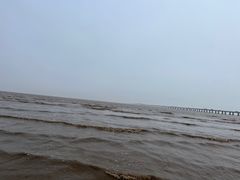 -南汇新城海滩