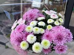 -爱尚幸福鲜花(上地实体店)