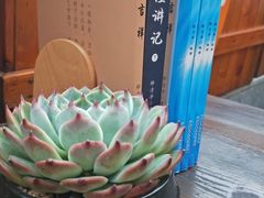 -泰合素食(双流店)