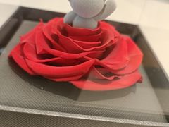 -ROSEONLY诺誓(青岛万象城店)