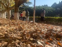-西安交通大学(雁塔校区)