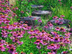 -汉长安城未央宫国家考古遗址公园