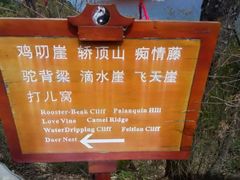 -塔云山