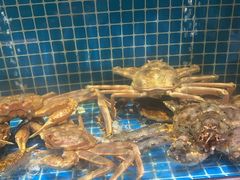 -庆赫隆融合菜馆(群力店)