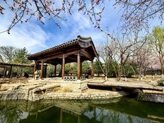 -三里河公园