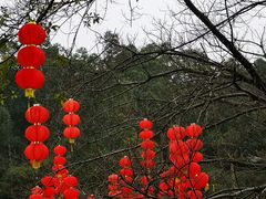 -南国桃园旅游度假区