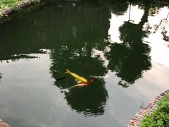 -上海虹桥宾馆味翠餐厅