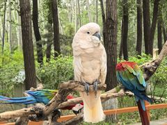 -北京野生动物园