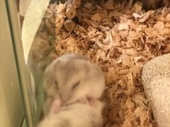 -龙猫仔乐园(惠福东路店)