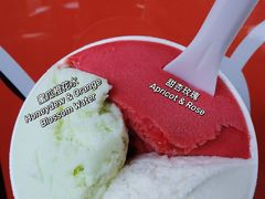 -DIP in GELATO(富民路店)