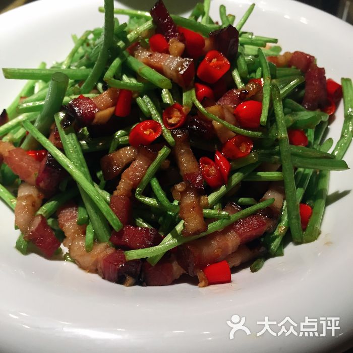 猫老师上传的图片