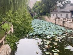 -水绘园