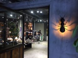 点击看大图 -蚂蚁造型沙龙
