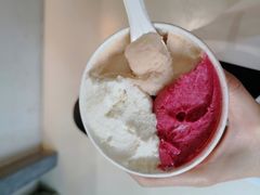 -Dip in Gelato(富民路店)