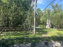 -北京市师达中学