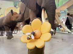 -陕西自然博物馆