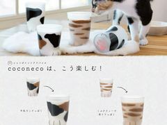 -矢量咖啡(万象汇店)