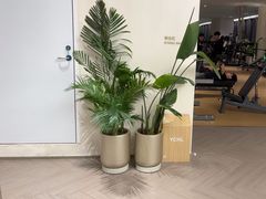 -YCHL FIT 健身(星寰店)