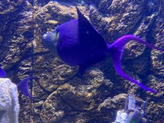 -常州海昌海洋探索馆