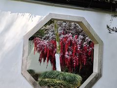 -杭州黄龙洞