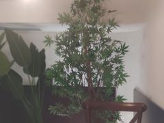 -Miss Q Family甜品·蛋糕·法甜咖啡
