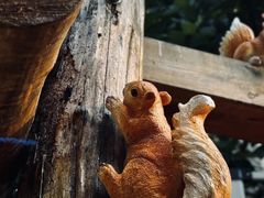 -佰园全日西餐厅-厦门佰翔软件园酒店