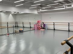 -中央芭蕾舞团·中芭艺蕾(酒仙桥明星校区)