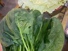 菠菜spinach-东镇老火锅(长春路首店)