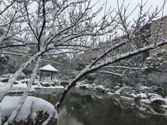 -红豆杉庄会议中心