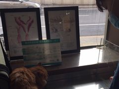 -瑞派长江宠物医院·猫科·外科·24小时夜护(谊城公寓分院)