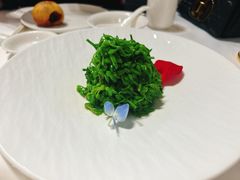 -天福苑(崇宁路店)