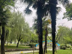 -中央公园(苏州工业园区)