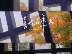 -上海山野camping·户外天幕烧烤·团建拓展营地