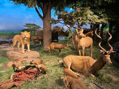 -国家自然博物馆