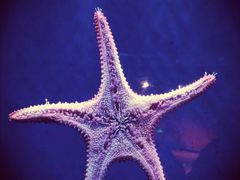 -沈阳海洋探索中心