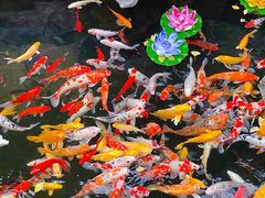 -西林禅寺
